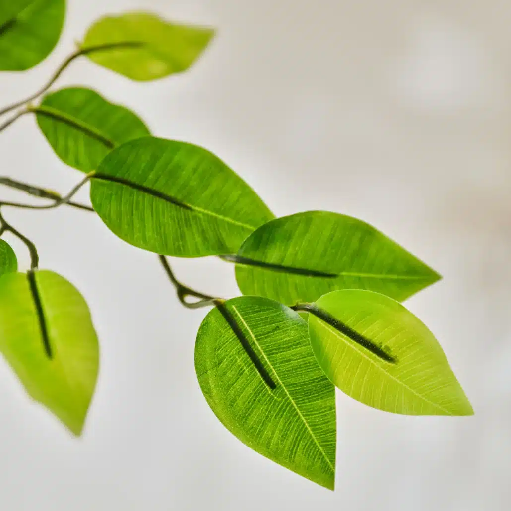 Planta Artificial FICUS Luxe 250 cm - Imagen 4