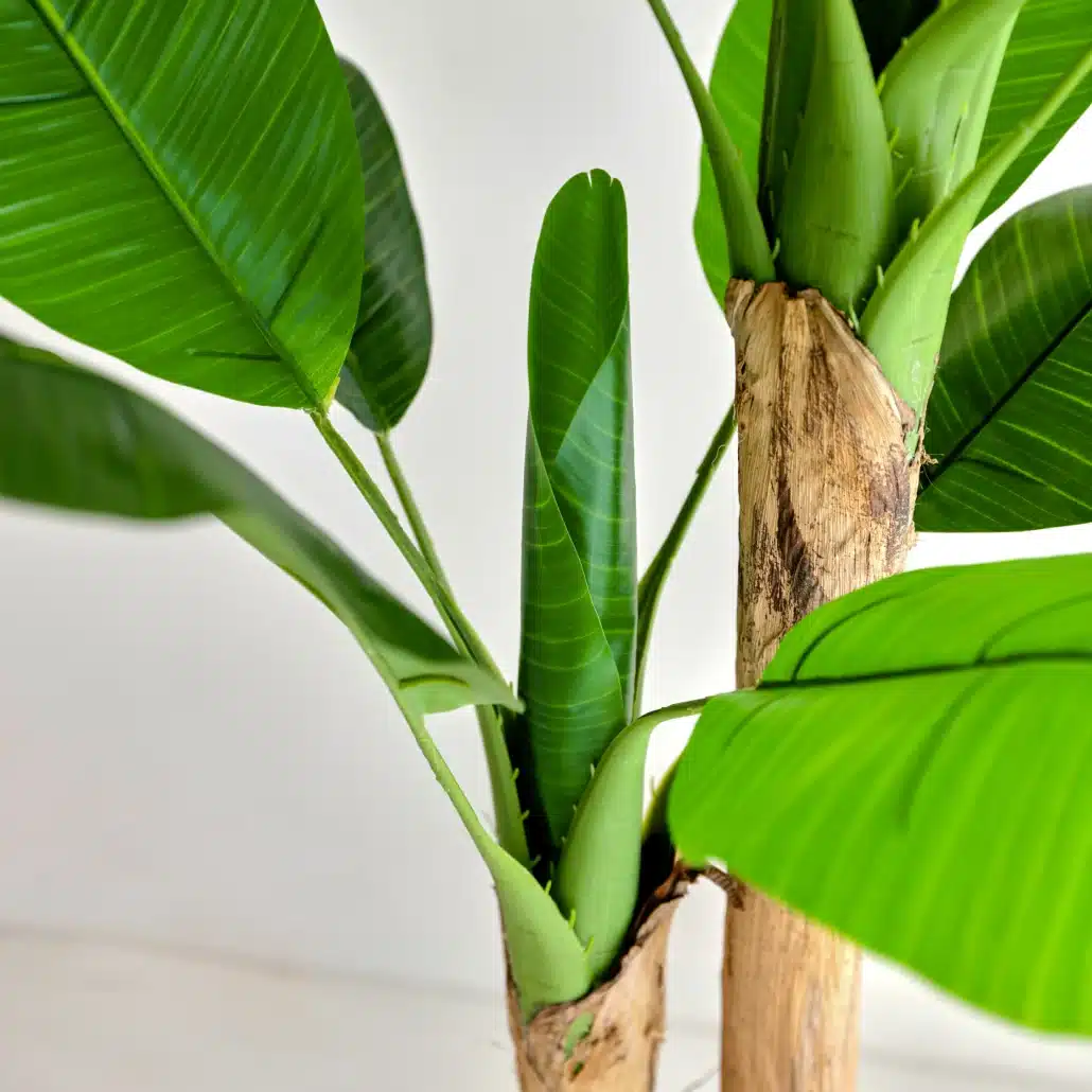 Planta Artificial PLATANERA Nature 150 cm - Imagen 2