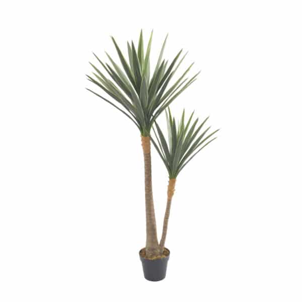 La YUCA Deco 150 cm es una planta en maceta con dos troncos altos y delgados y hojas verdes largas y puntiagudas, presentada sobre un fondo blanco.