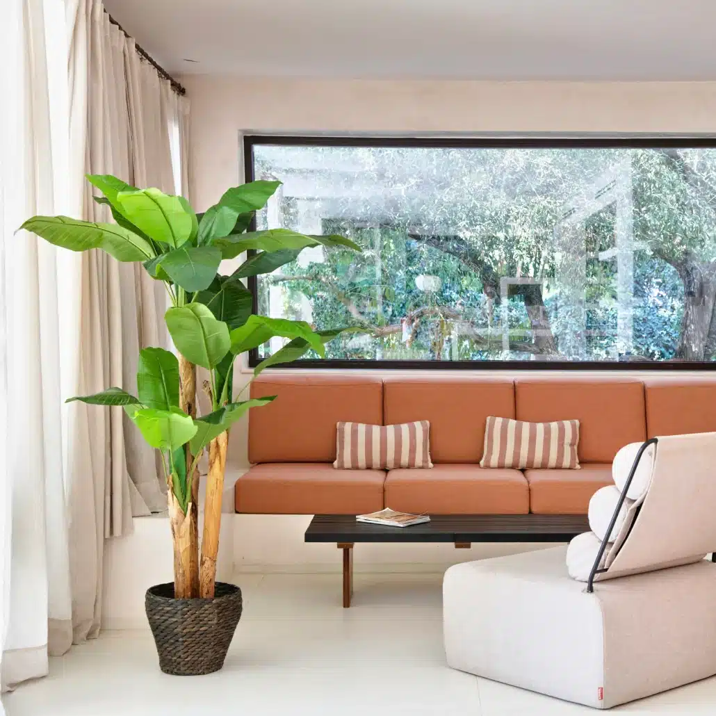 Un salón moderno con una gran maceta, un sofá naranja con cojines a rayas, una mesa de centro con libros y un gran ventanal con árboles en el exterior. Las cortinas claras y las paredes blancas crean un ambiente luminoso y aireado.