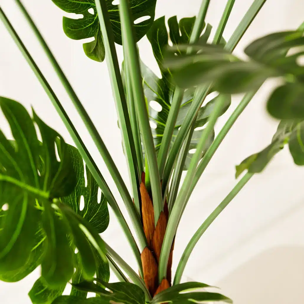 Planta Artificial MONSTERA Deco 150 cm - Imagen 2