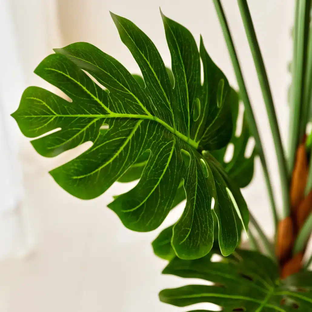 Planta Artificial MONSTERA Deco 150 cm - Imagen 3