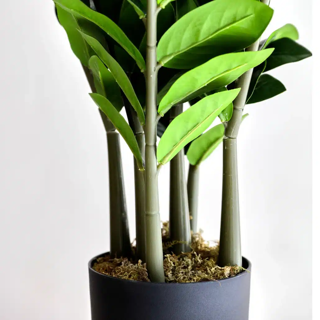 Planta Artificial ZAMIOCULCA Deco 90 cm - Imagen 3