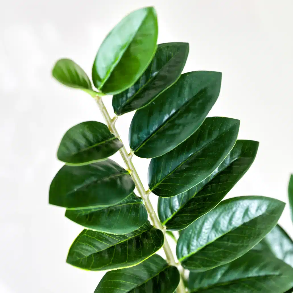 Planta Artificial ZAMIOCULCA Deco 90 cm - Imagen 4