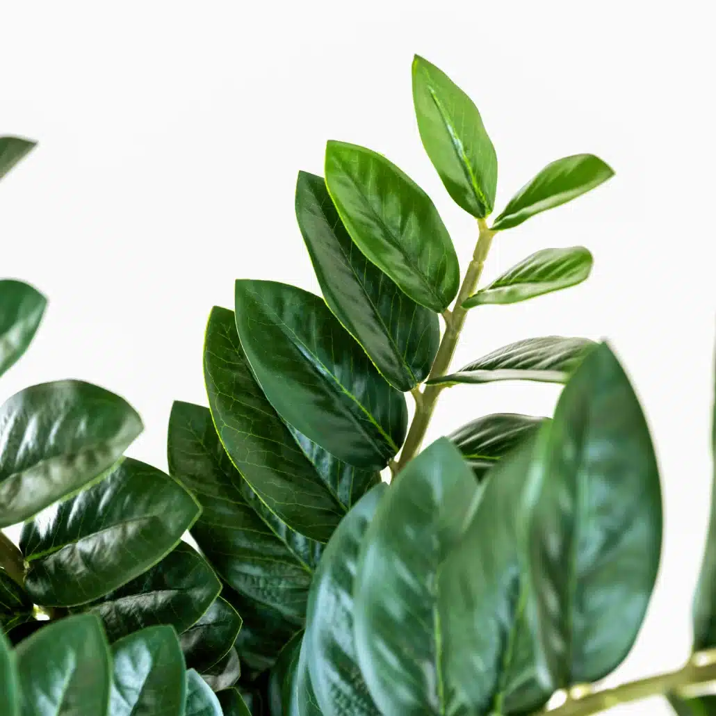 Planta Artificial ZAMIOCULCA Deco 90 cm - Imagen 2